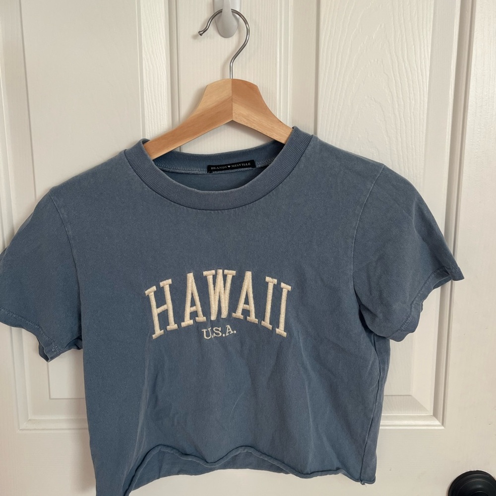 Brandy Melville “Hawaii” Cropped Tee